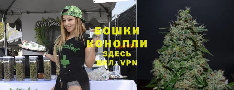 где купить   Белинский  Канабис OG Kush 